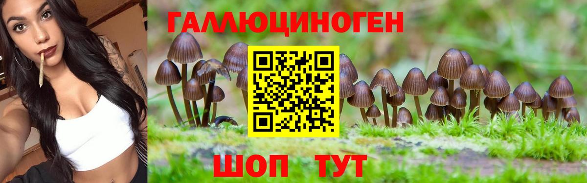 Таганрог  Галлюциногенные грибы мицелий  Вход с VPN 